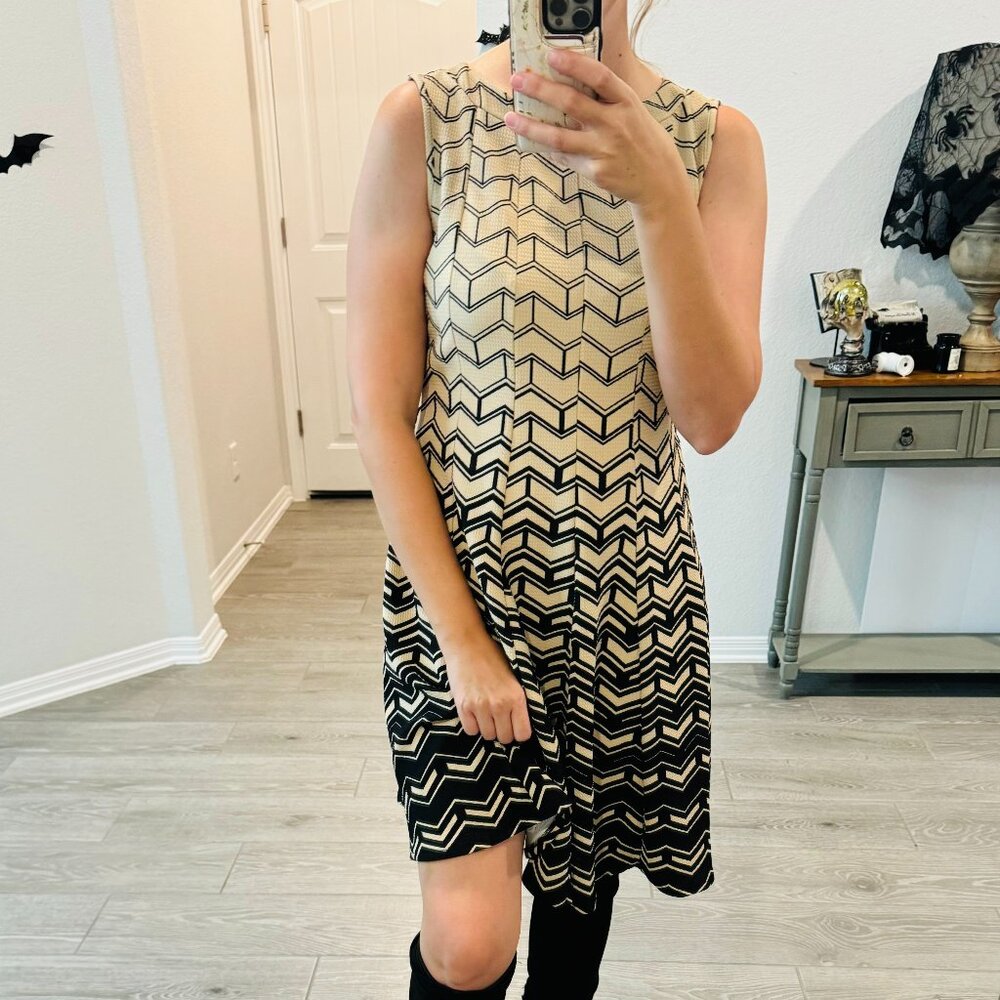 Haani Chevron Pattern Dress